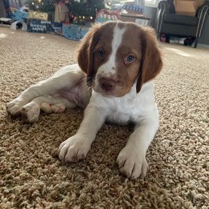 Meet your Posher, Dena